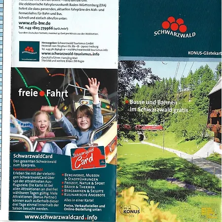 Wohlfuehloase Lejlighed Eisenbach (Breisgau-Hochschwarzwald)