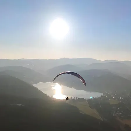Wohlfuehloase Eisenbach (Breisgau-Hochschwarzwald)