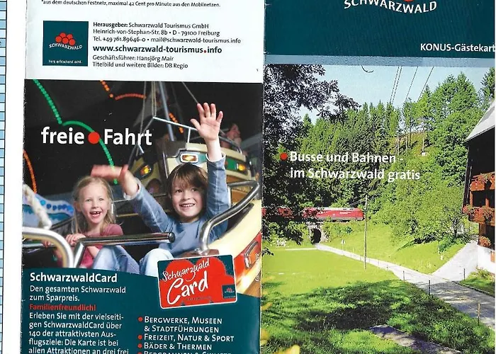 Wohlfuehloase Appartamento Eisenbach (Breisgau-Hochschwarzwald)