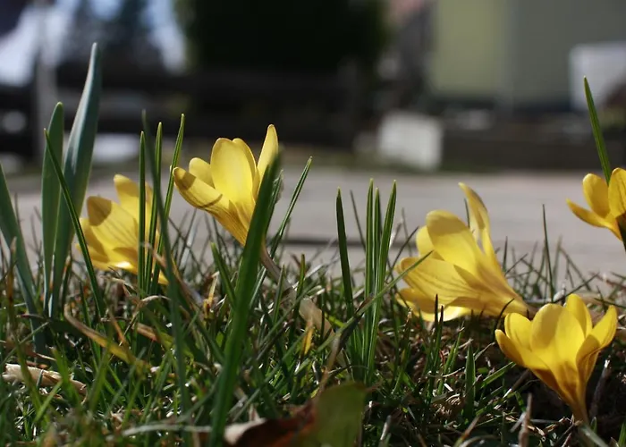 Appartamento Wohlfuehloase